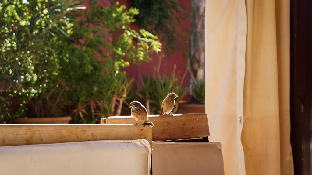 Riad Honey Marrakesz Zewnętrze zdjęcie